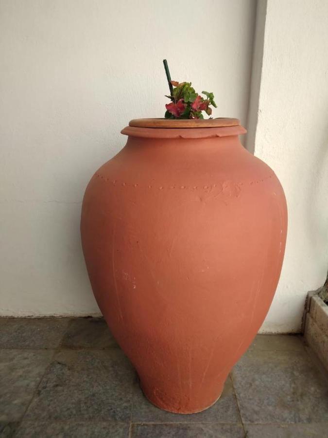 Casa Dos Avos Villa Alcaria da Serra Eksteriør bilde